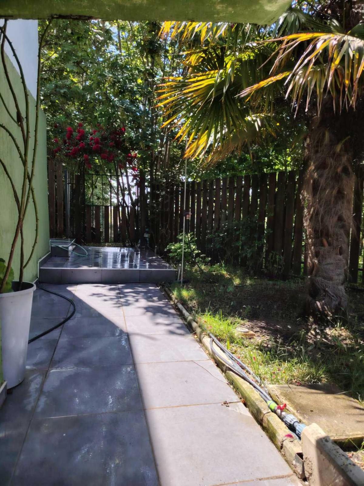 Aheloy Apartments מראה חיצוני תמונה